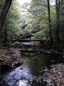 Bridge over Stream